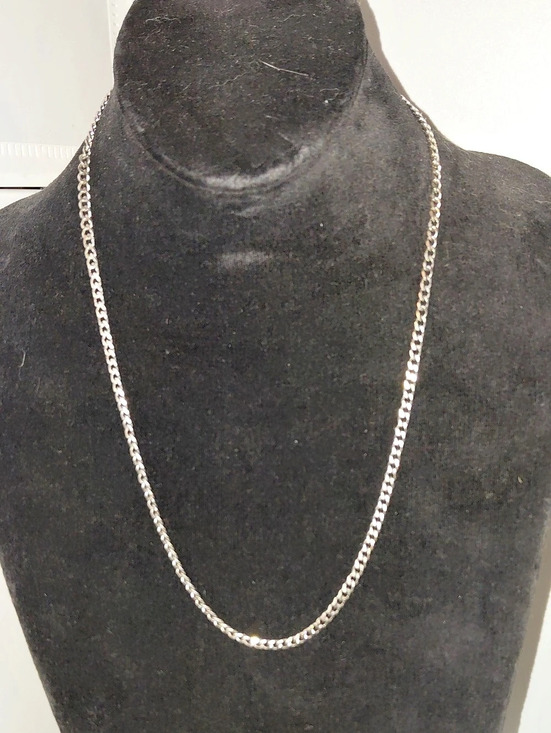 Jewelry - Silver-Tone Planted Chain Necklace 20 Inches